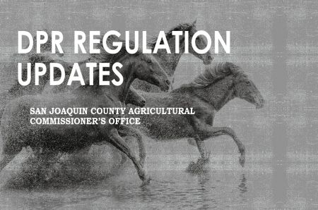 DPR Regulation Updates [2024]